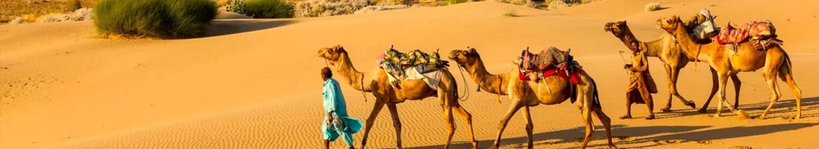 Jaisalmer Travel Guide: Golden City, Desert Safari & More