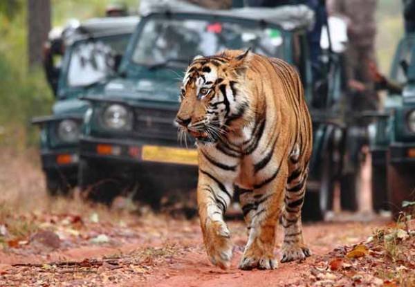 Places to Visit in Ranthambore