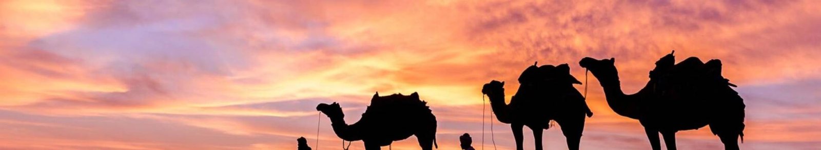 Top Desert Safari Experiences in Jaisalmer & Bikaner