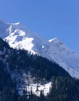 Himachal Tour Packages