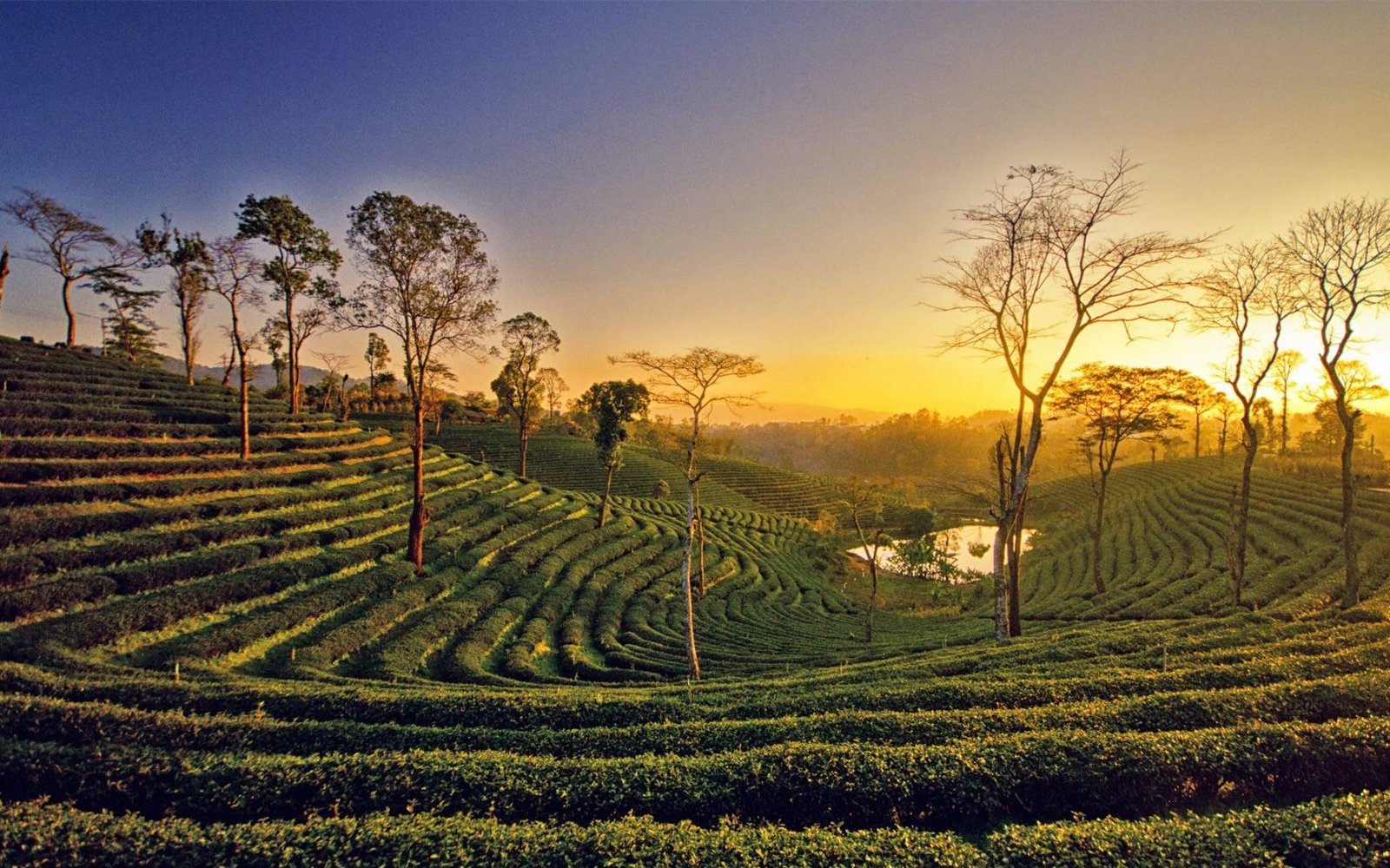 Rajasthan Tour Packages from Assam