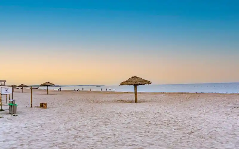 Daman Corporate Tour Packages