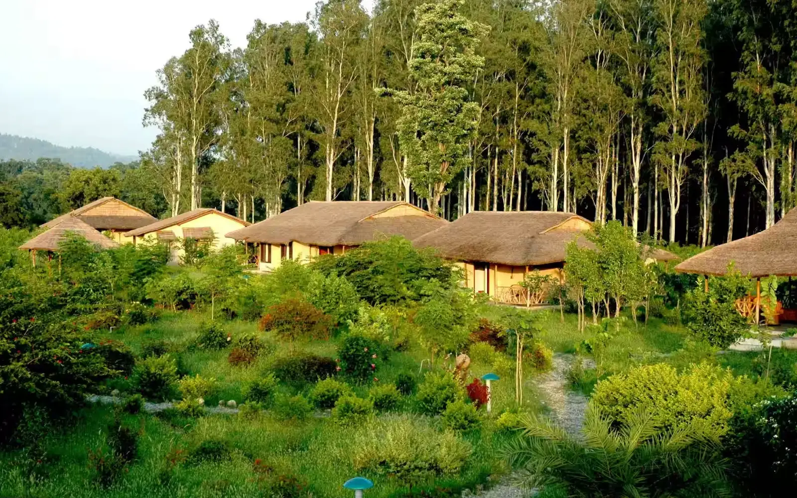 Nainital & Jim Corbett Nature Retreat