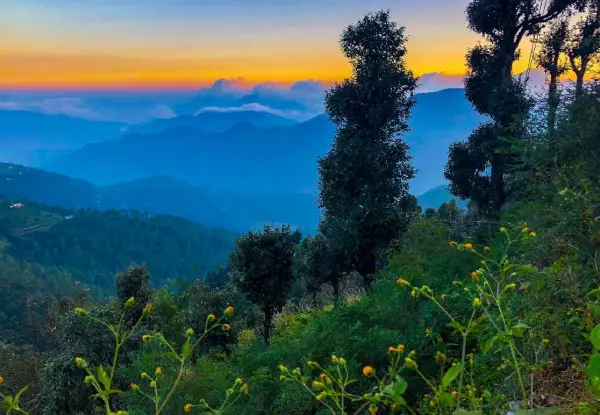 Kanatal Tour Package