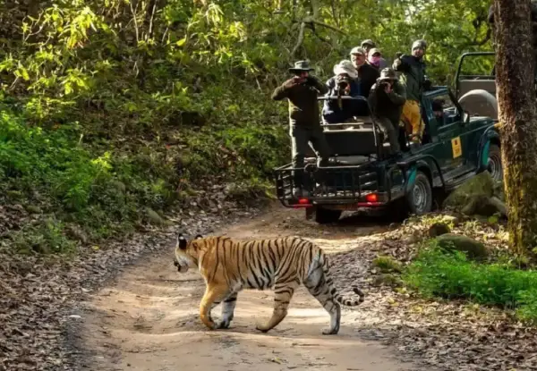 Jim Corbett MICE Tour