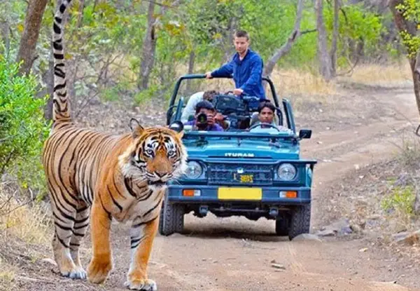 Jim Corbett and Nainital Tour from Delhi