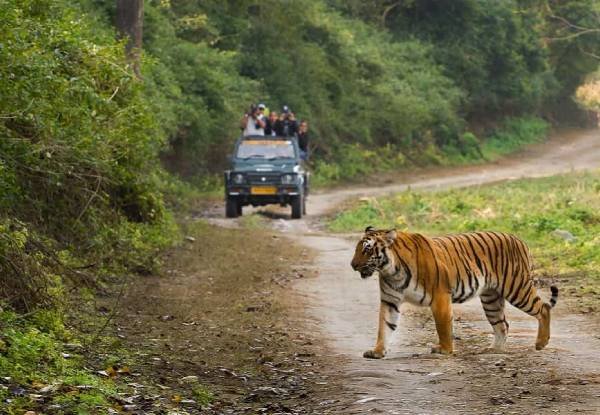 Delhi to Jim Corbett Package