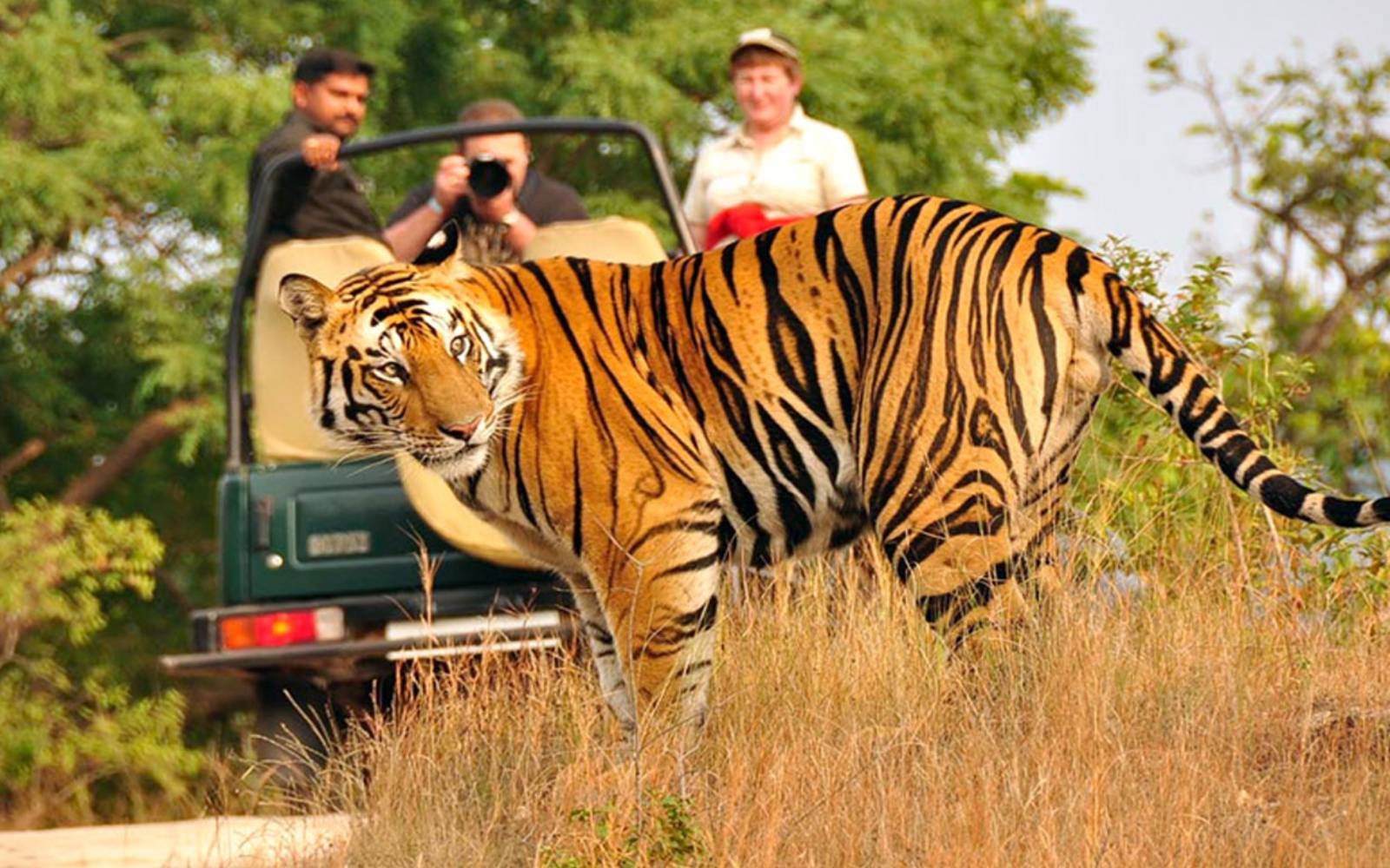 Delhi to Jim Corbett Package