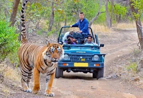 Exclusive Uttarakhand with Jim Corbett Safari