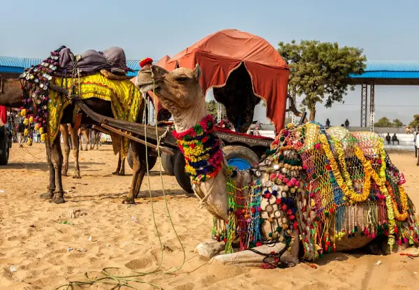 Rajasthan Rural Packages