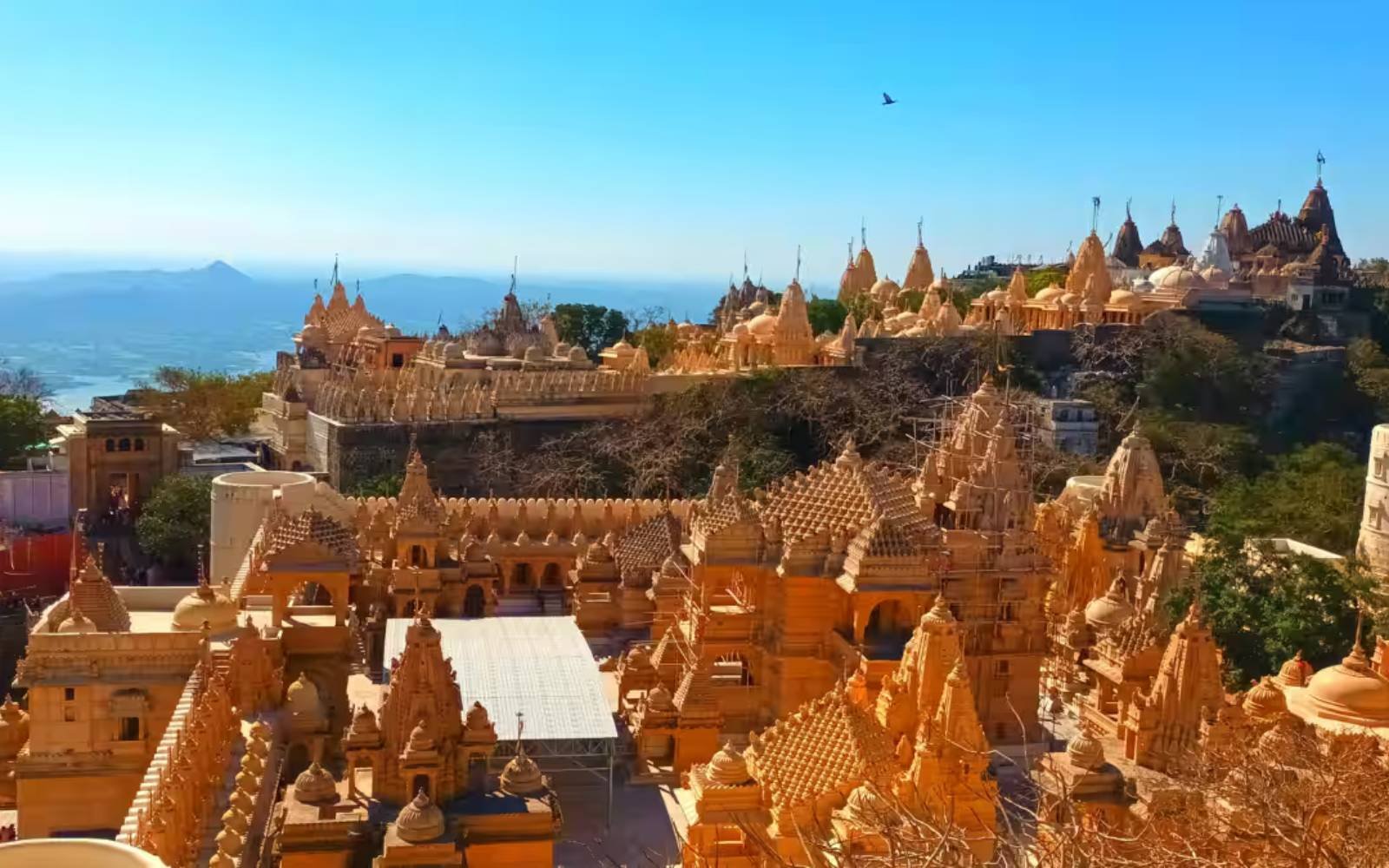 Udaipur Tour Packages from Bhopal