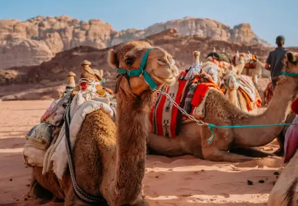 2 days Ajmer Pushkar Private Tour