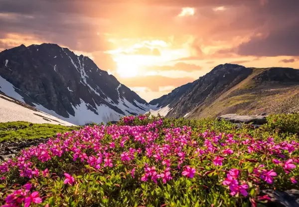 Uttarakhand Delights - Journey to the Sacred Valleys