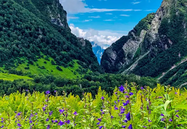 Uttarakhand Getaway | Journey to the Land of Gods