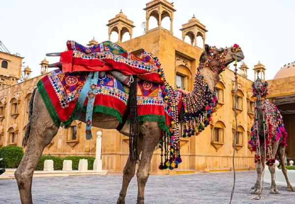 4 Days Rajasthan Private Tour