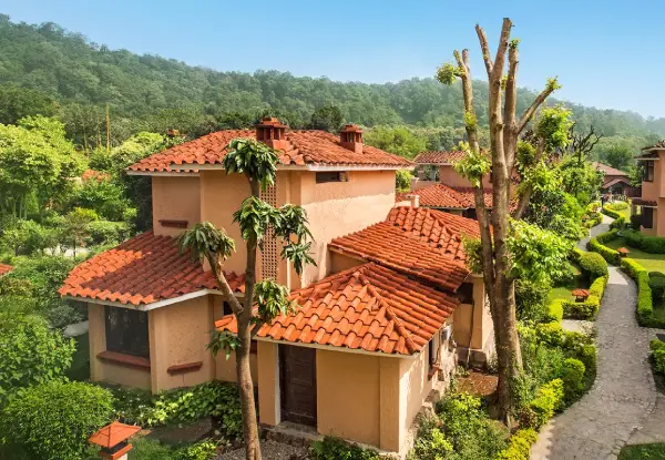 Uttarakhand Romantic Odyssey | From Forest Trails to Snowy Tales