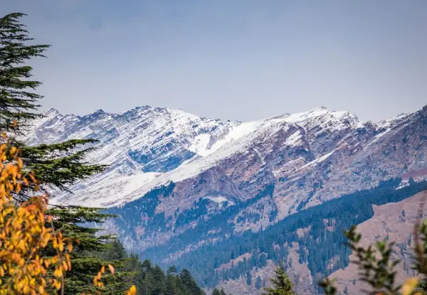 Uttarakhand Treasures | A Journey Through Sacred Hills and Misty Peaks