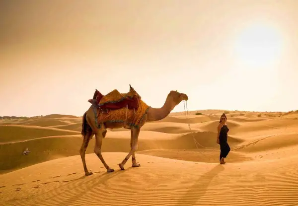 5 Days Private Jaisalmer Tour