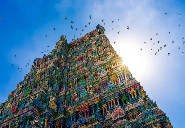 Rajasthan Tour Packages From Tamil Nadu