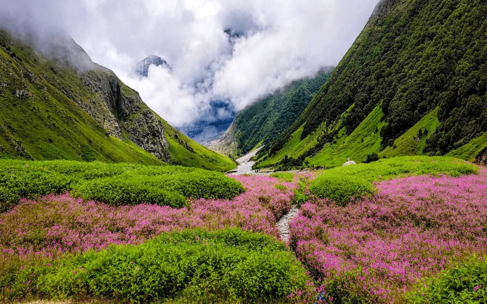 Char Dham & Valley of Flowers Tour Package